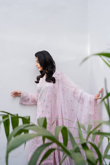 Freesia Premium Pantea - FW40044 Online Shopping